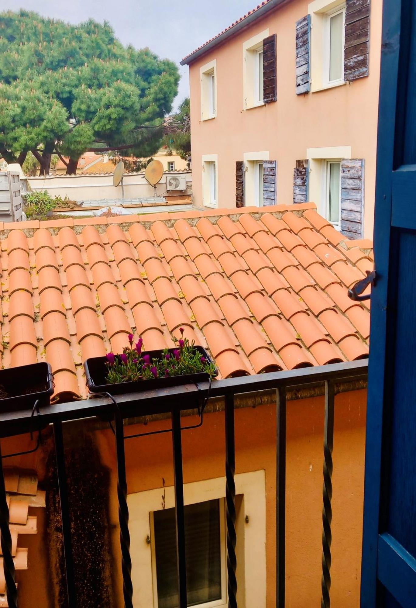 Chambres Rue De La Republique Collioure Bagian luar foto