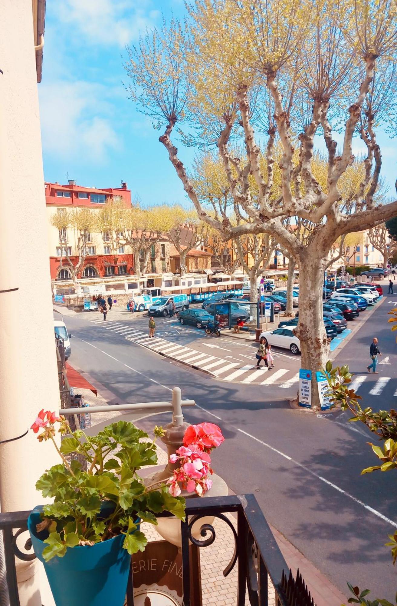 Chambres Rue De La Republique Collioure Bagian luar foto